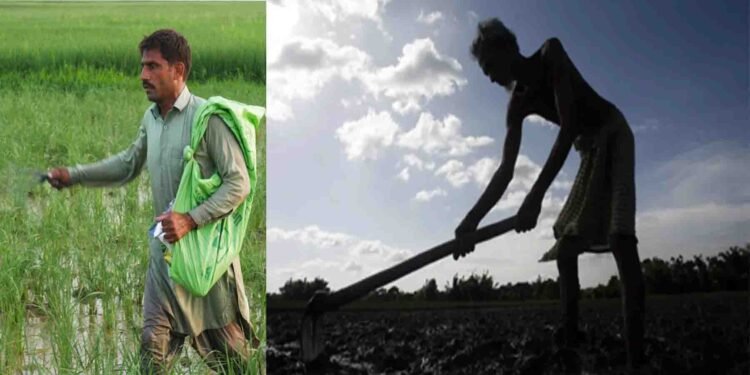 سندھ حکومت کا کسانوں کے لیے بڑا اعلان – ہاری کارڈ اور سولر سبسڈی