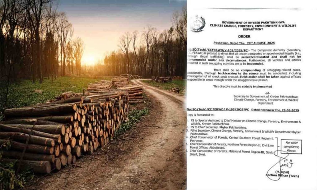خیبر پختونخوا غیر قانونی لکڑی سمگلنگ کے خلاف محکمہ جنگلات کی کارروائی