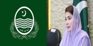 مریم نواز پنجاب پر بات برداشت نہیں کریں گی