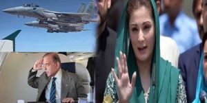 سعودی جہازوں کی جانب سے شہباز شریف کو سلامی