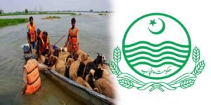 پنجاب حکومت کا نجی کشتیوں کو ریگولیٹ کرنے کا فیصلہ سیلاب متاثرین کے لیے بڑا اقدام
