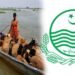 پنجاب حکومت کا نجی کشتیوں کو ریگولیٹ کرنے کا فیصلہ سیلاب متاثرین کے لیے بڑا اقدام
