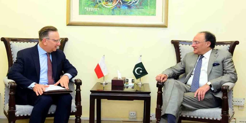 پولینڈ کے سفیر میسیج پسارسکی اور پاکستان کے وزیر خزانہ محمد اورنگزیب کی ملاقات