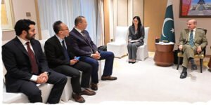 وزیراعظم شہباز شریف بیجنگ میں چینی کمپنیوں کے سربراہان سے ملاقات کرتے ہوئے پاک چین سرمایہ کاری پر گفتگو