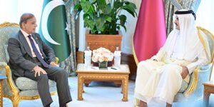شہباز شریف کی امیر قطر سے ملاقات,قطر سے اظہار یکجہتی