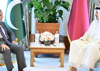 شہباز شریف کی امیر قطر سے ملاقات,قطر سے اظہار یکجہتی