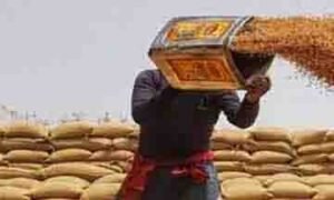 پنجاب حکومت گندم ضبط آپریشن کے دوران برآمد شدہ ذخیرہ شدہ بوریاں