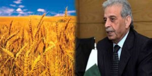 گندم پالیسی پر گفتگو کرتے ہوئے وفاقی وزیر رانا تنویر