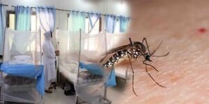 راولپنڈی ڈینگی کیسز میں اضافہ اور محکمہ صحت کی کارروائیاں