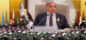 شہباز شریف کا عرب-اسلامی سربراہی کانفرنس سے خطاب، ٹاسک فورس کے قیام کی تجویز