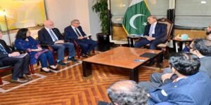 وزیراعظم شہباز شریف اور بل گیٹس ملاقات میں پولیو کے خاتمے اور ڈیجیٹل معیشت پر گفتگو