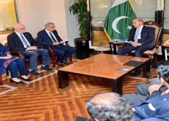 وزیراعظم شہباز شریف اور بل گیٹس ملاقات میں پولیو کے خاتمے اور ڈیجیٹل معیشت پر گفتگو