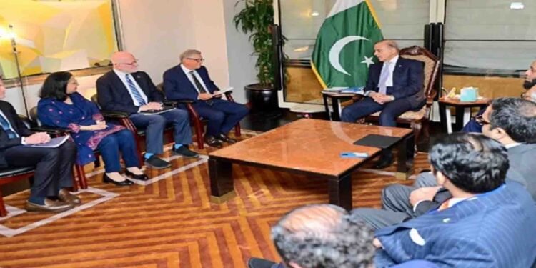 وزیراعظم شہباز شریف اور بل گیٹس ملاقات میں پولیو کے خاتمے اور ڈیجیٹل معیشت پر گفتگو