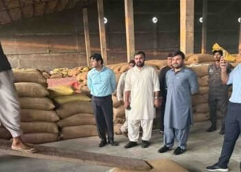 شیخوپورہ میں کھاد بنانے والی فیکٹری کے گودام پر چھاپہ، 20 ہزار بوریاں گندم برآمد