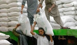 ٹریڈنگ کارپوریشن آف پاکستان چینی درآمد ٹینڈر