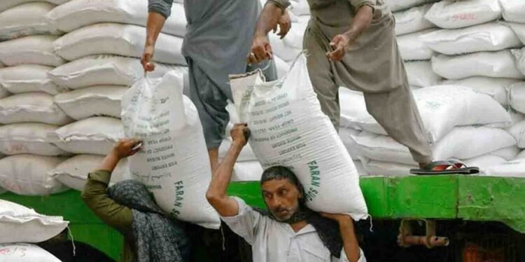 ٹریڈنگ کارپوریشن آف پاکستان چینی درآمد ٹینڈر