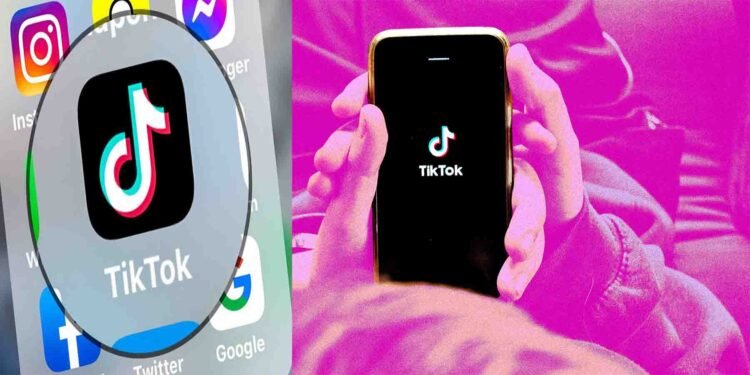 امریکا میں ٹک ٹاک کا نیا مالک اوریکل یا نئی کمپنی؟