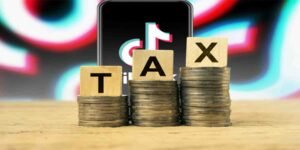 ٹک ٹاکرز سے ٹیکس وصولی پر فیصل واوڈا کی تجویز