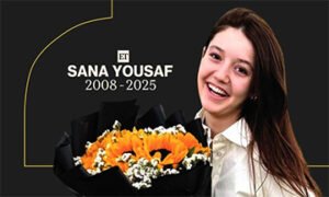 ٹک ٹاکر ثناء یوسف قتل کیس کی سماعت 13 ستمبر تک ملتوی