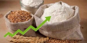 پنجاب حکومت کی جانب سے آٹے اور روٹی کی قیمت مقرر کرنے کا اعلان