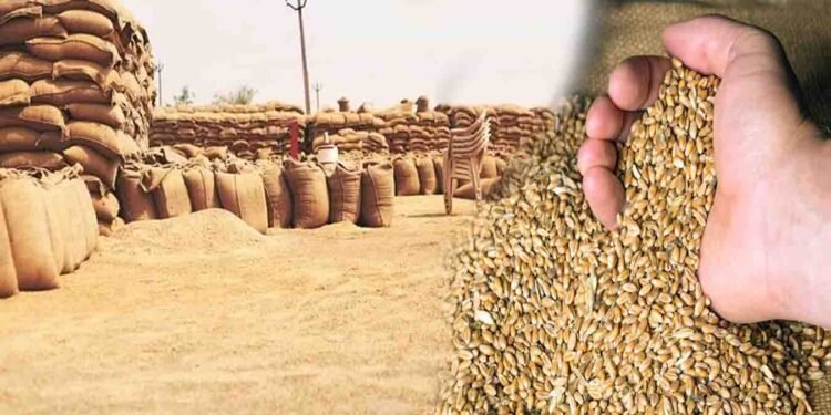منڈی بہاؤالدین گندم برآمد آپریشن میں 400 ٹن گندم ضبط