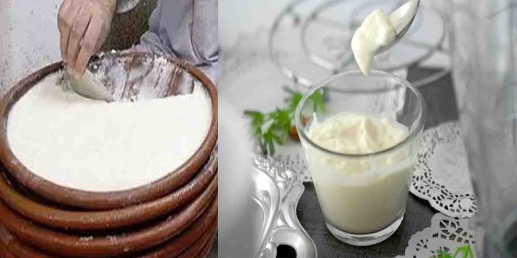 ہڈیوں کو مضبوط بنانے کیلئے دہی کھانے کا بہترین وقت – ماہرین کی رائے