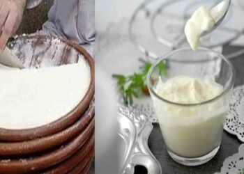 ہڈیوں کو مضبوط بنانے کیلئے دہی کھانے کا بہترین وقت – ماہرین کی رائے