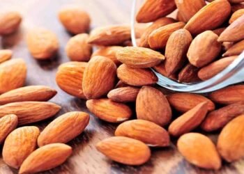 روزانہ بادام کھانے کے فوائد