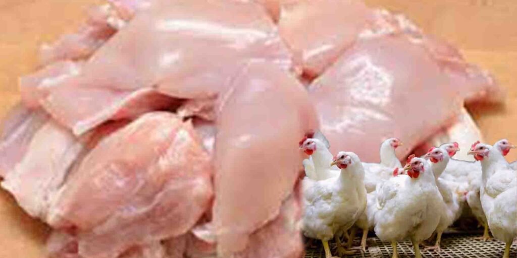 برائلر گوشت کی قیمت میں اضافہ سے عوام پریشان