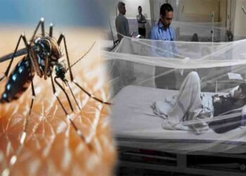 راولپنڈی میں ڈینگی کے مریض