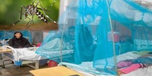 راولپنڈی میں ڈینگی کیسز میں اضافہ کی رپورٹ