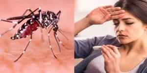 Dengue Cases in Rawalpindi Today — راولپنڈی میں ڈینگی کے 22 نئے کیس رپورٹ