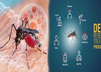 کے پی میں ڈینگی کیسز 2025