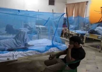 ڈینگی کے کیسز میں اضافہ — بارشوں کے بعد مچھروں کی افزائش میں تیزی
