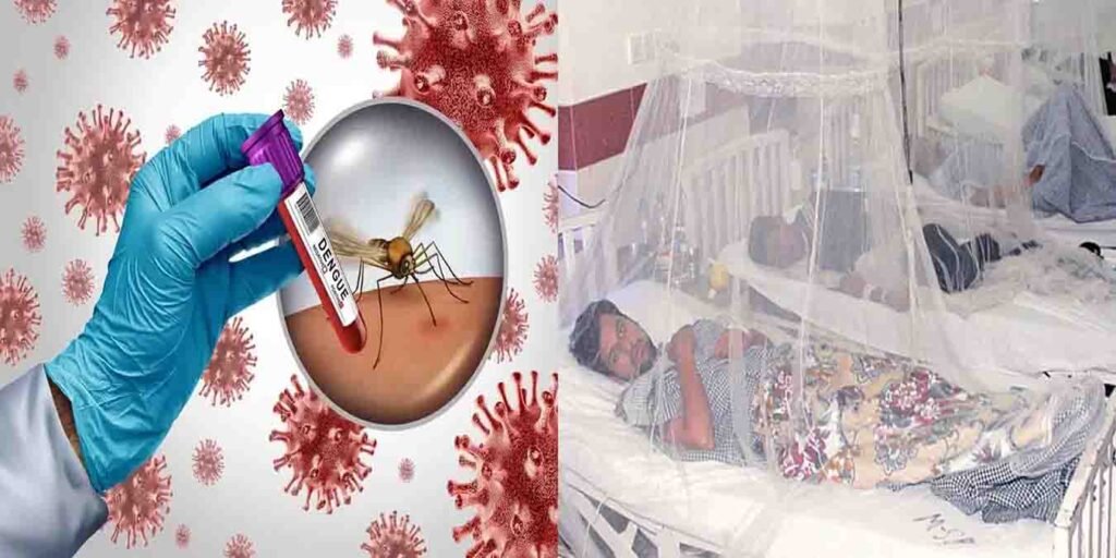 ڈینگی کیسز راولپنڈی 2025 میں تشویشناک حد تک بڑھ گئے