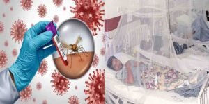 ڈینگی کیسز راولپنڈی 2025 میں تشویشناک حد تک بڑھ گئے