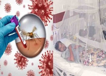 ڈینگی کیسز راولپنڈی 2025 میں تشویشناک حد تک بڑھ گئے