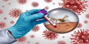 Dengue Cases Rawalpindi: راولپنڈی میں ڈینگی کیسز میں اضافہ