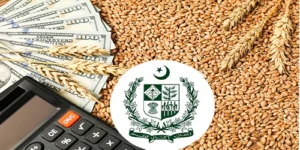 وزیر اعظم شہباز شریف گندم پالیسی 26-2025 کی منظوری دے دی