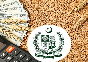 وزیر اعظم شہباز شریف گندم پالیسی 26-2025 کی منظوری دے دی