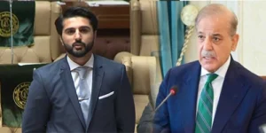 سندھ حکومت کا گندم کی امدادی قیمت 4 ہزار 200 روپے فی من مقرر کنے کا مطالبہ