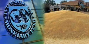 آئی ایم ایف کا گندم پالیسی پر اعتراض، پاکستان کی وضاحت