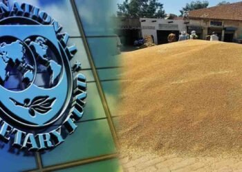 آئی ایم ایف کا گندم پالیسی پر اعتراض، پاکستان کی وضاحت