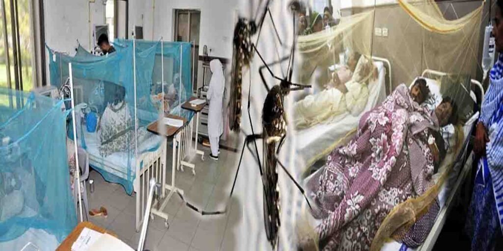 جیکب آباد میں ڈینگی بے قابو