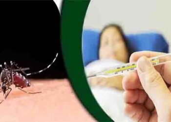 خیبرپختونخوا ڈینگی کیسز کے دوران اسپتال میں زیر علاج مریض