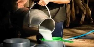 دودھ کی نئی قیمت میں اضافہ اور شہریوں کی تشویش