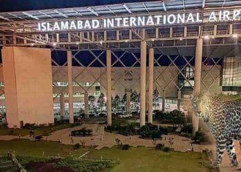 اسلام آباد ایئرپورٹ پر چیتا دیکھ کر وائلڈ لائف ٹیم حرکت میں آگئی