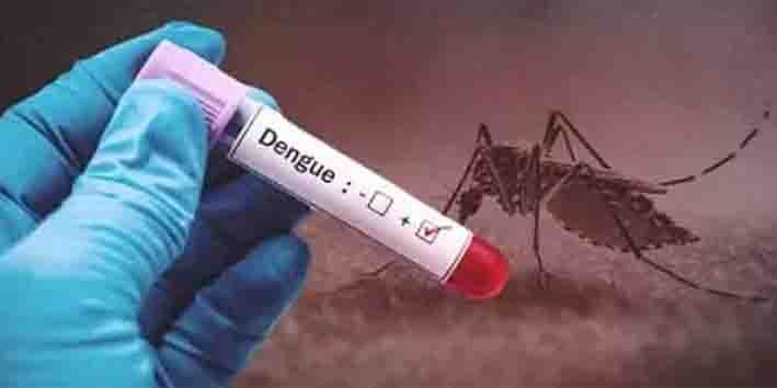 پاکستان راولپنڈی ڈینگی کیسز میں اضافہ کے بعد اسپتالوں میں مریضوں کا ہجوم