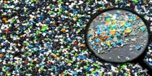 پلاسٹک کے ننھے ذرات کے اثرات انسانی معدے پر تحقیق