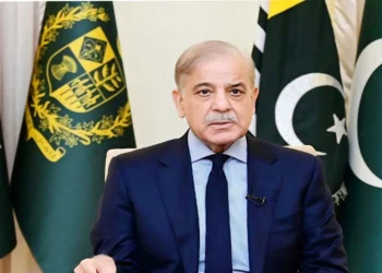 آزاد کشمیر میں نئی حکومت کے لیے وزیراعظم شہباز شریف کی کمیٹی